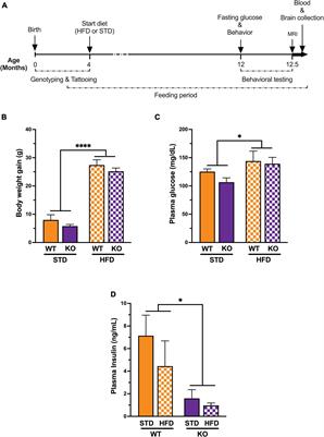 GPR39 Deficiency Impairs Memory and Alters Oxylipins and Inflammatory Cytokines Without Affecting Cerebral Blood Flow in a High-Fat Diet Mouse Model of Cognitive Impairment